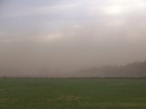 No-till practices to not make soil immune from wind erosion. Adequate cover must be maintained.