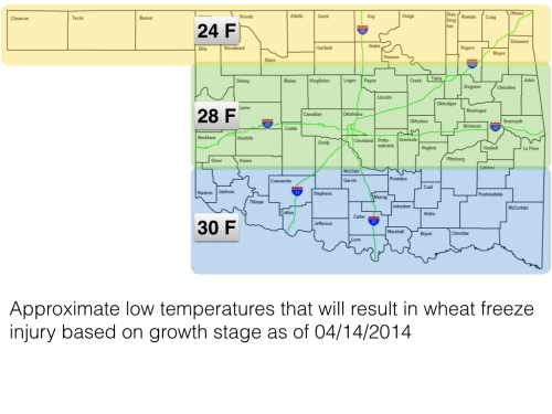 Approximate temperature thresholds for freeze injury to Oklahoma wheat on 04/14/2014