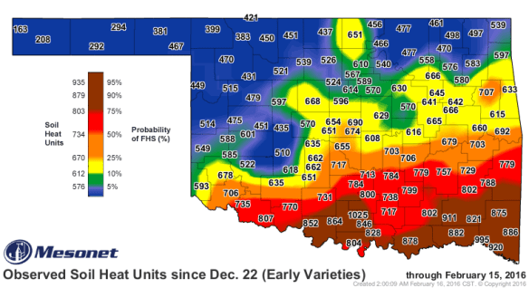 Current first hollow stem estimates for early maturity wheat varieties