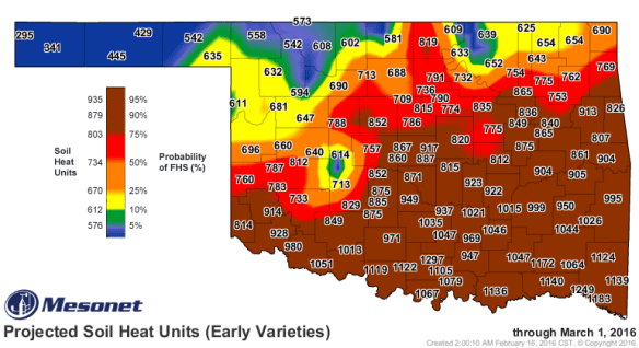Two week projection of first hollow stem for early maturity wheat varieties