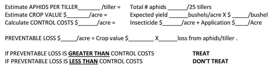 Greenbugs and Bird Cherry-Oat Aphids in Wheat: Decisions… | WORLD OF WHEAT