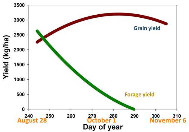 Fig1 planting date